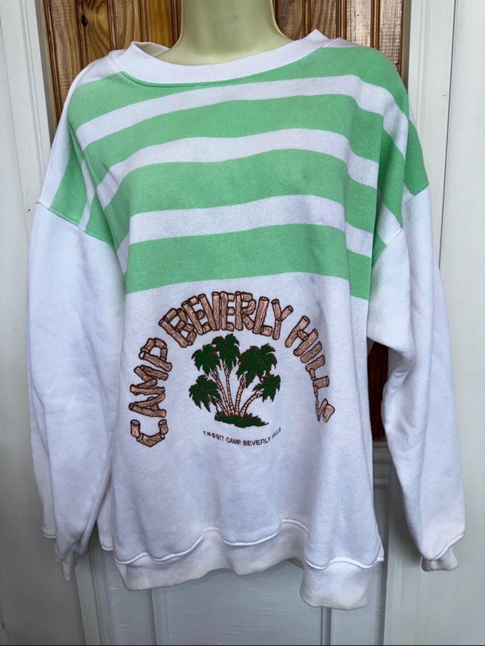 Vintage 1977 Camp Beverly Hills Green‎ & White Striped Sweatshirt